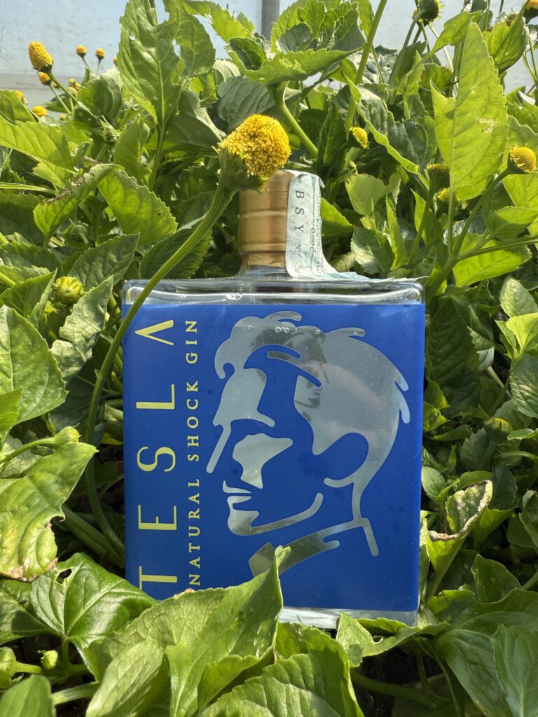 Storia del Gin sino a Tesla Gin