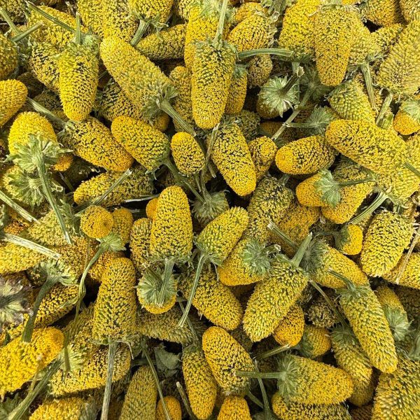 Acmella Oleracea | Fiore Elettrico Essiccato al sole. Coltivato in Italia